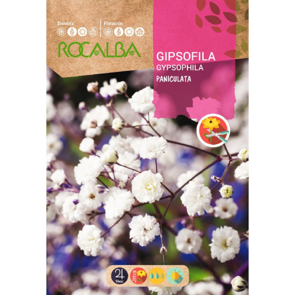 S.GIPSOFILA ROCALBA PANICULADA BRANCA