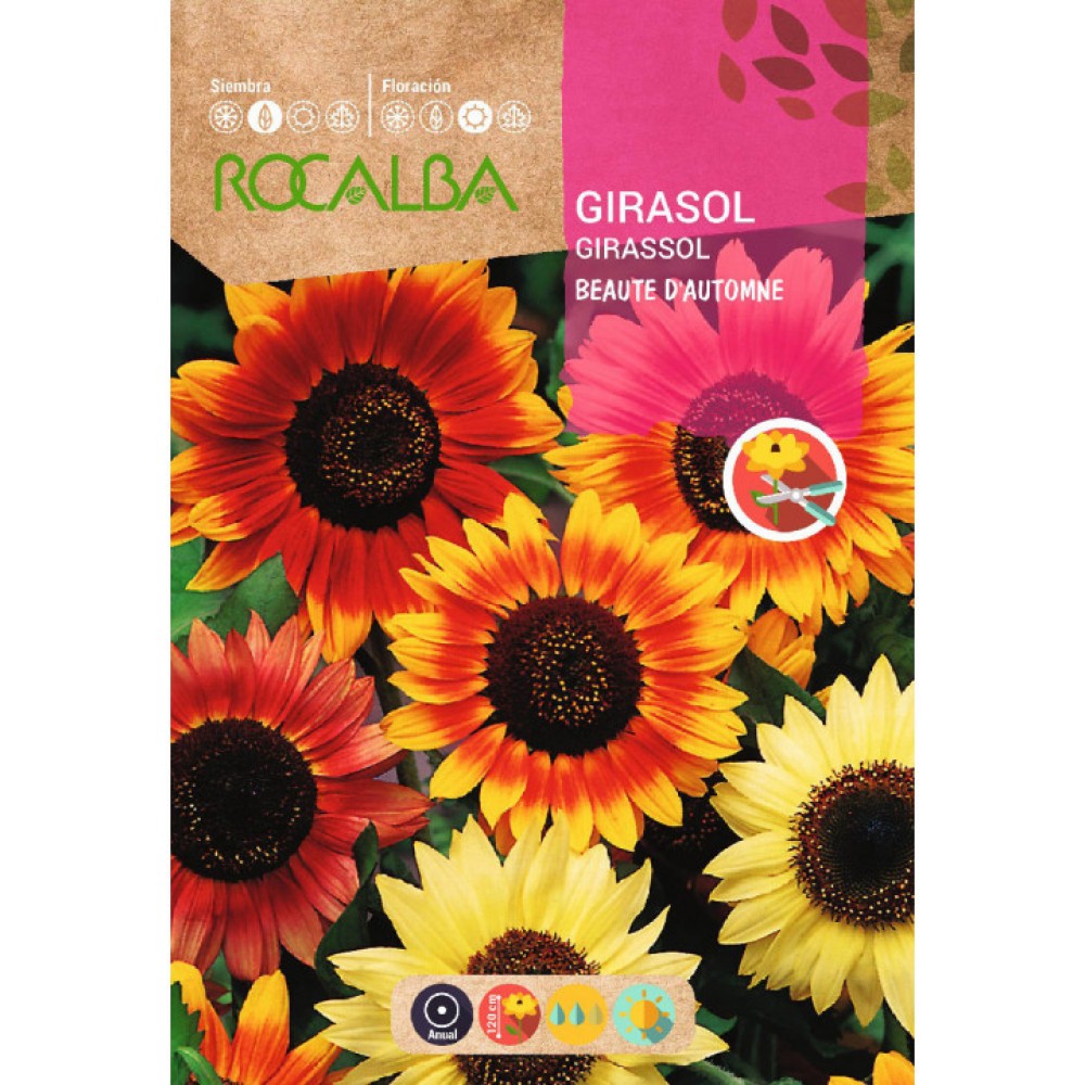 S.GIRASSOL ROCALBA VARIADO