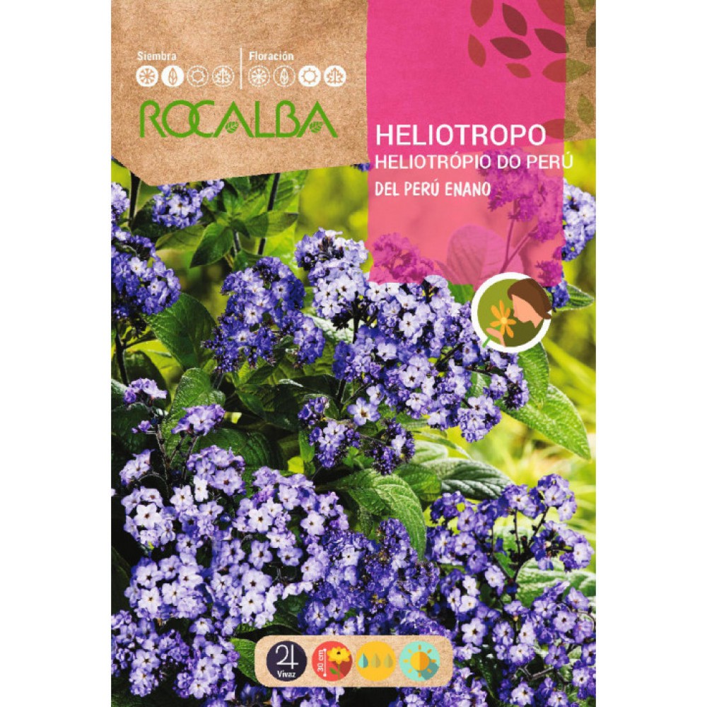 S.HELIOTROPIO ROCALBA DO PERU