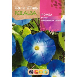 S.IPOMEA ROCALBA AZUL TREPADEIRA