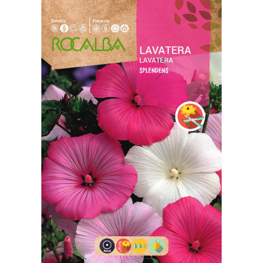 S.LAVATERA ROCALBA SPLENDENS