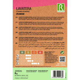 S.LAVATERA ROCALBA SPLENDENS