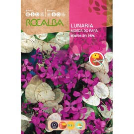 S.LUNARIA ROCALBA MOEDA DO PAPA
