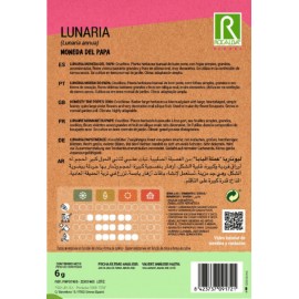 S.LUNARIA ROCALBA MOEDA DO PAPA