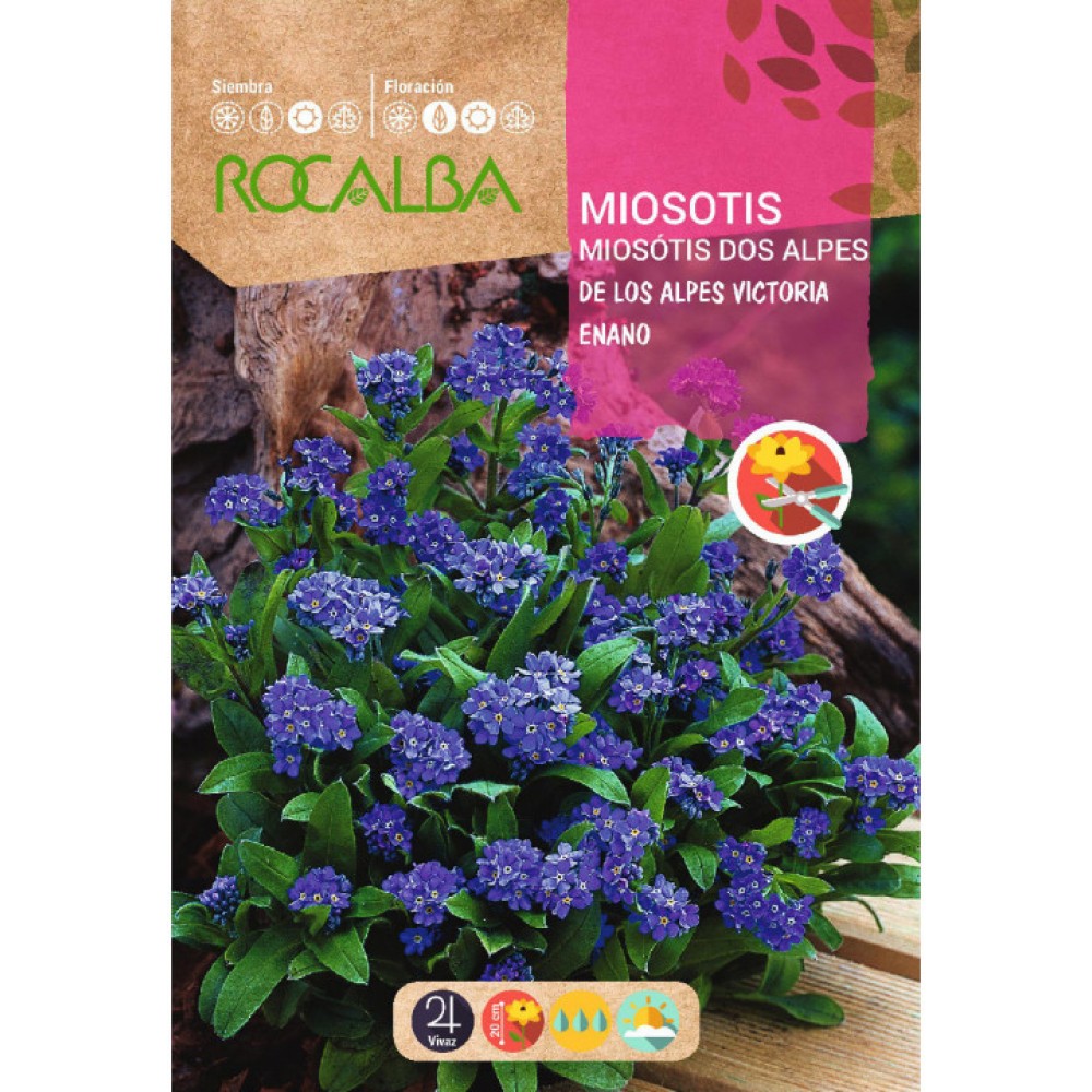 S.MIOSOTIS ANAO AZUL ROCALBA