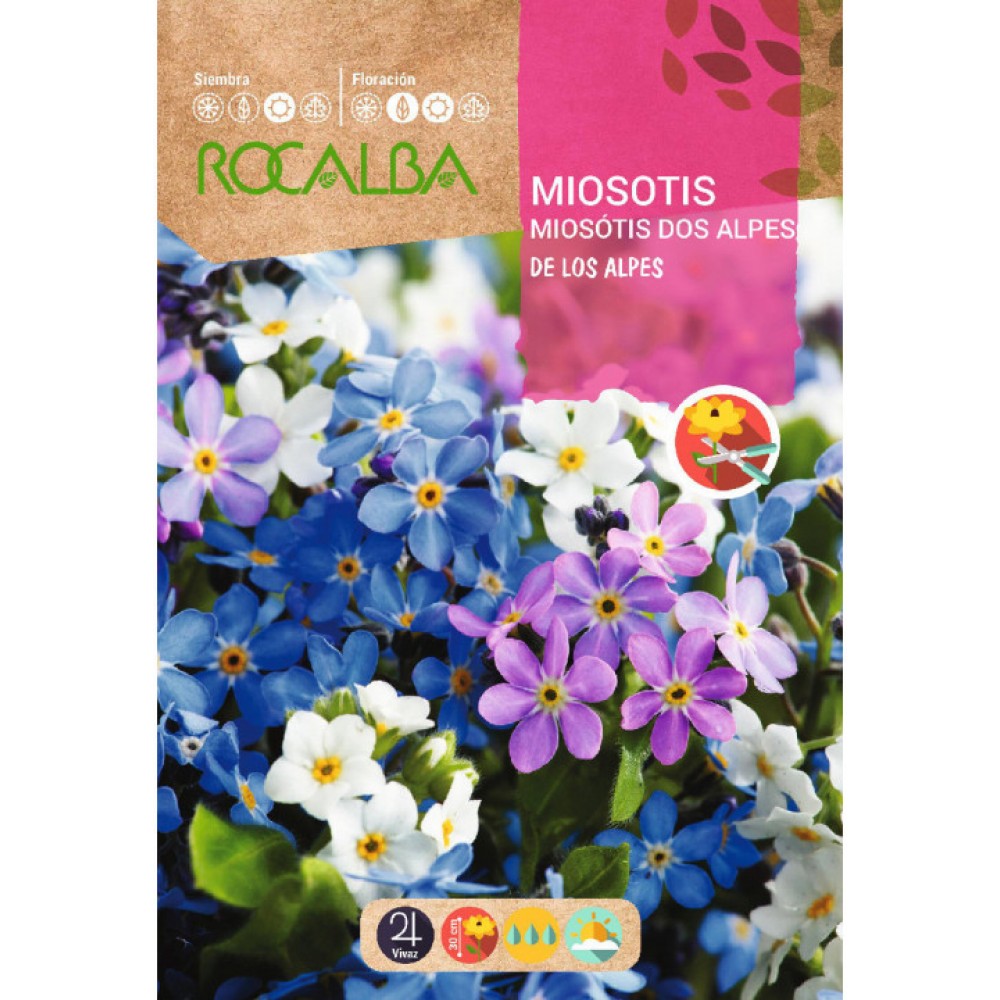 S.MIOSOTIS ROCALBA DOS ALPES VARIADO