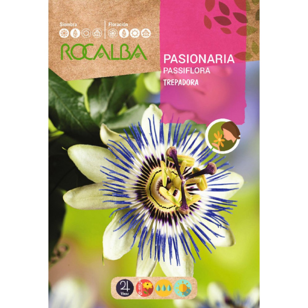 S.PASSIFLOREA TREPADEIRA ROCALBA
