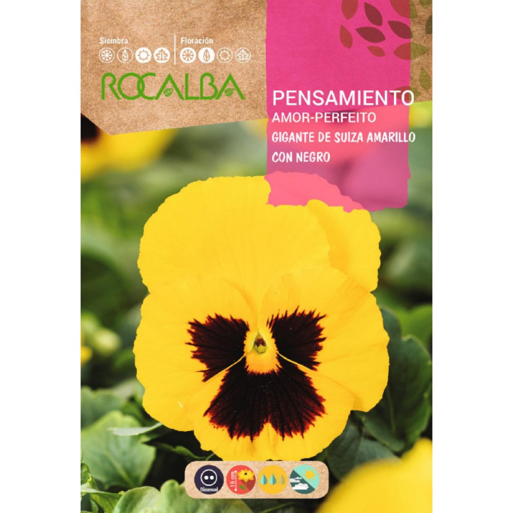 S.AMOR PERFEITO ROCALBA AMARELO