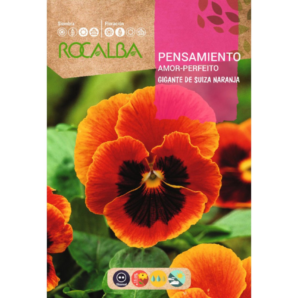 S.AMOR PERFEITO ROCALBA LARANJA