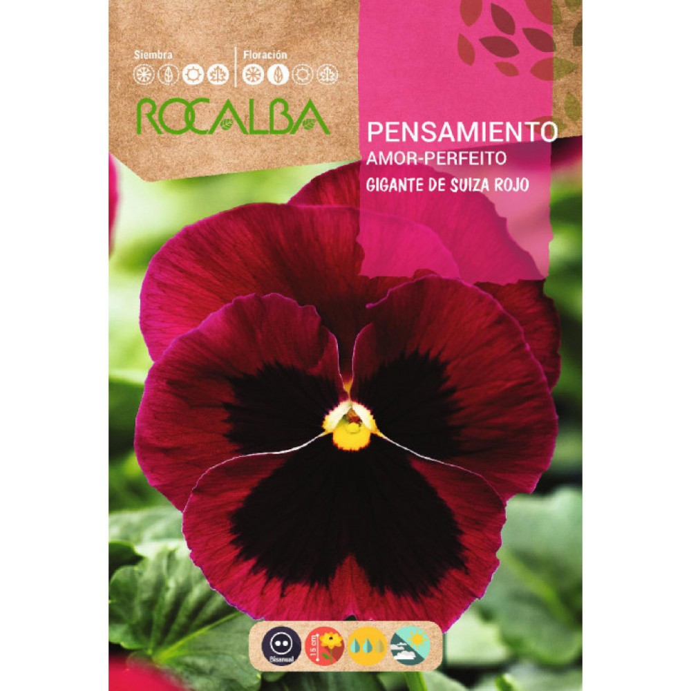 S.AMOR PERFEITO ROCALBA VERMELHO C/NEGRO