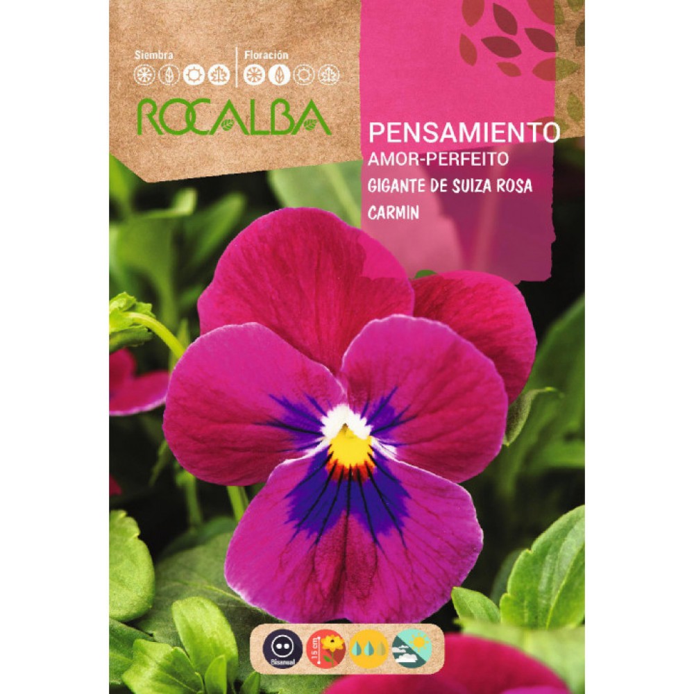 S.AMOR PERFEITO ROCALBA GIGANTE ROSA CAR