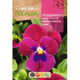 S.AMOR PERFEITO ROCALBA GIGANTE ROSA CAR