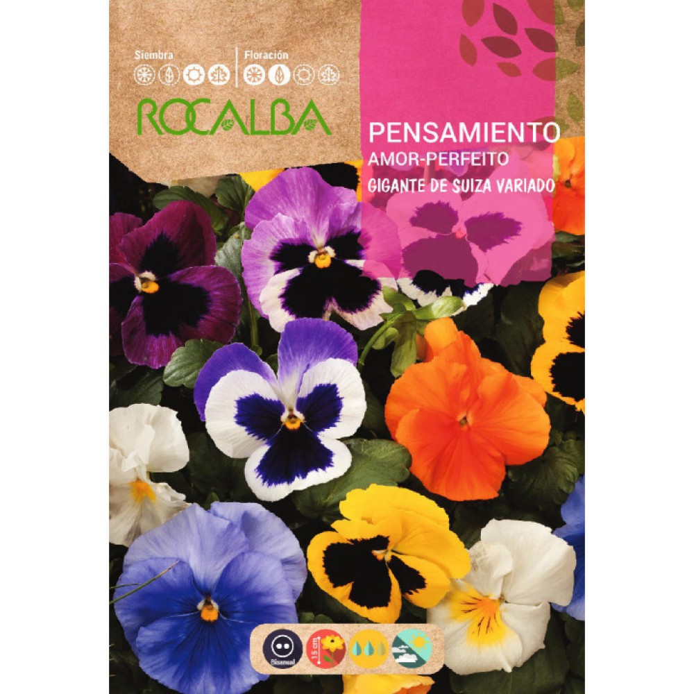 S.AMOR PERFEITO ROCALBA GIGANTE SUIÇA VA