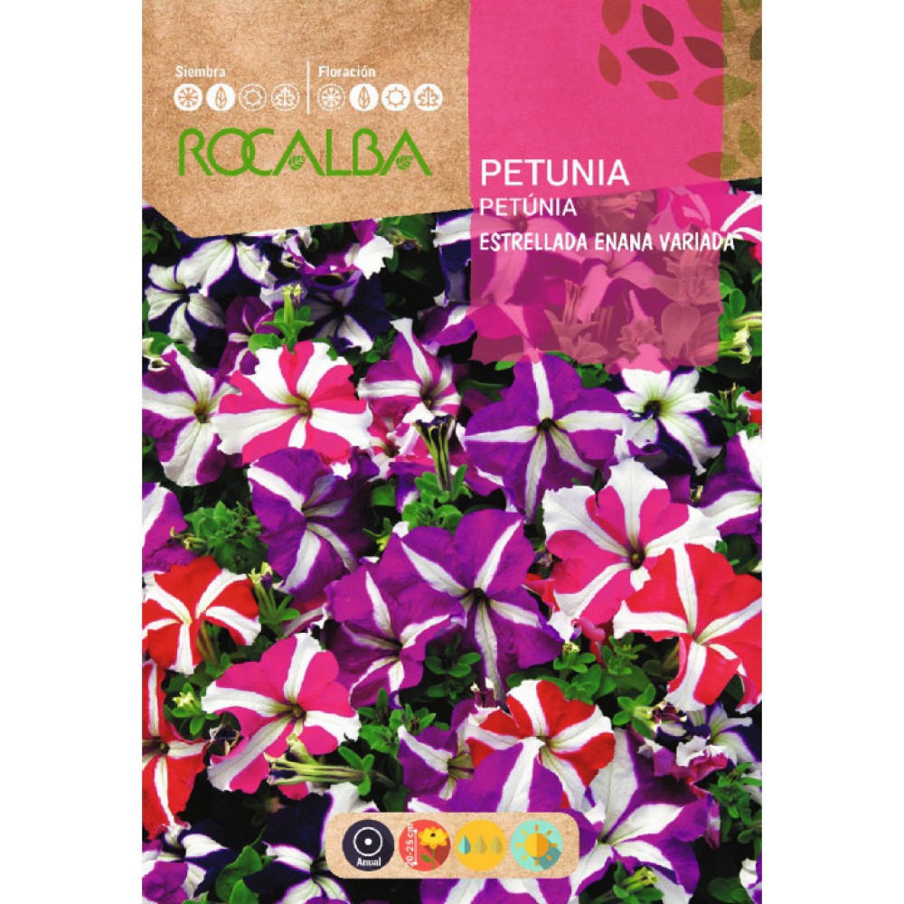 S.PETUNIA ROCALBA ESTRELADA ANA MISTURA