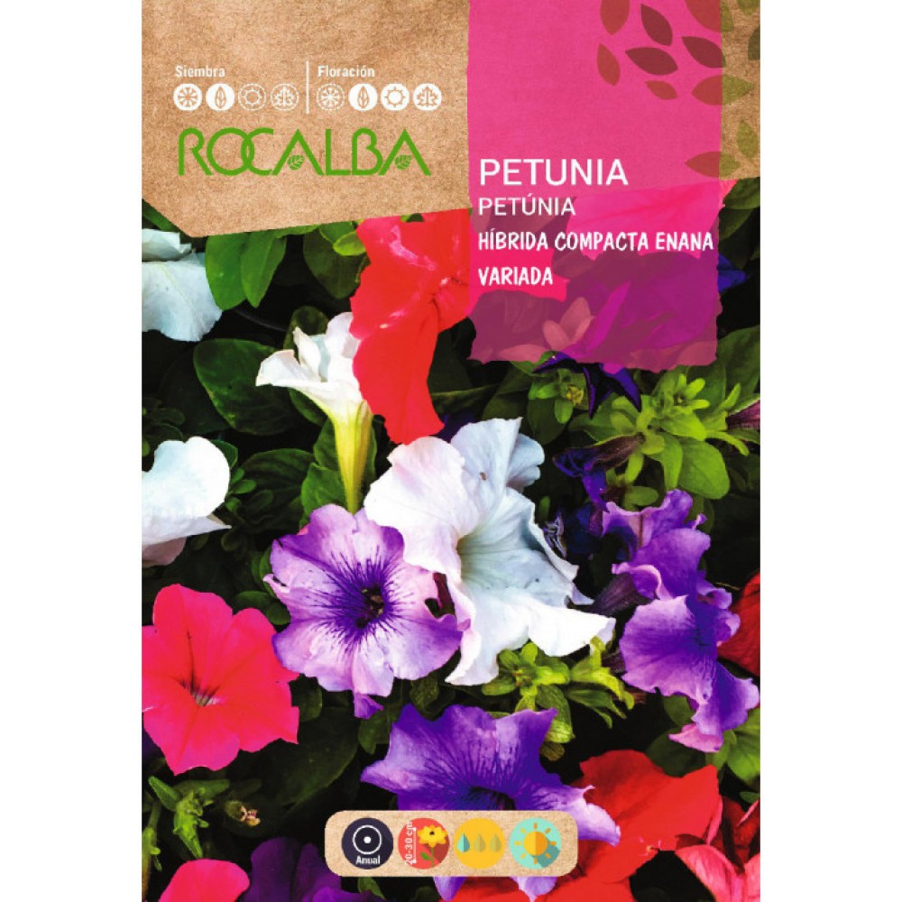 S.PETUNIA ROCALBA HIBR.COMPACTA ANA VARI