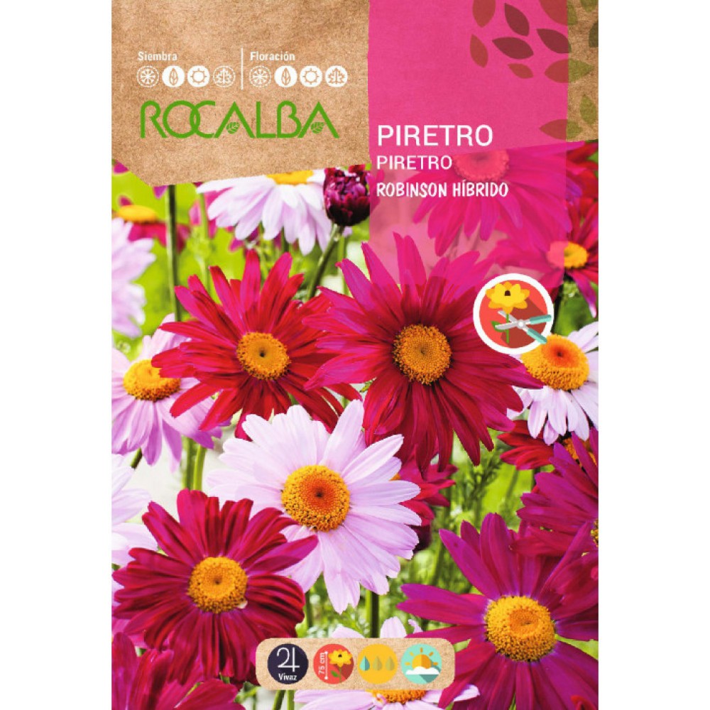 S.PIRETRO ROCALBA HIBRIDO VARIADA