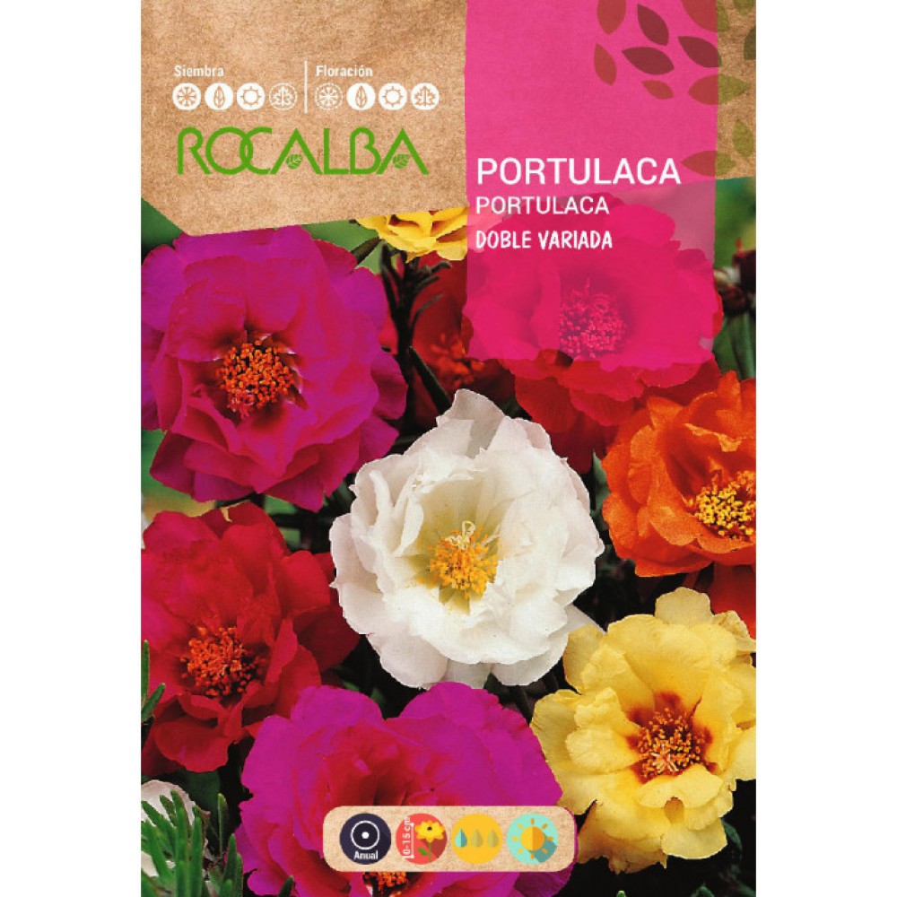S.PORTULACA ROCALBA DUPLA VARIADA