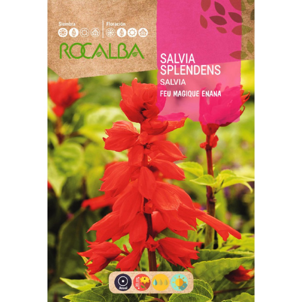 S.SALVIA ROCALBA ANA MAGIQUE
