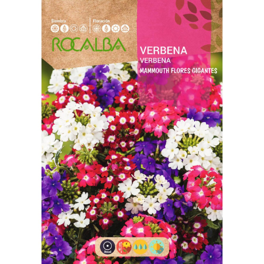S.VERBENA ROCALBA MANMOUTH VARIADA