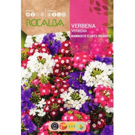 S.VERBENA ROCALBA MANMOUTH VARIADA