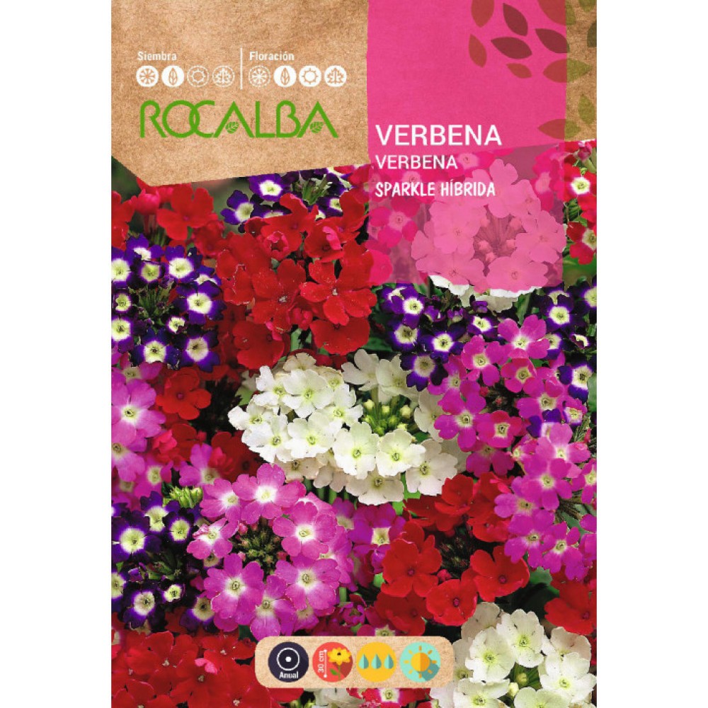 S.VERBENA ROCALBA HIBRIDA SPAK