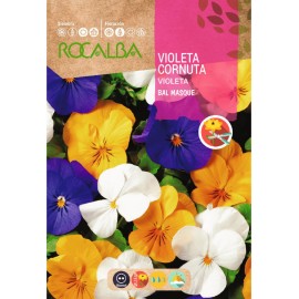 S.VIOLETA ROCALBA CORNUTA VARIADA