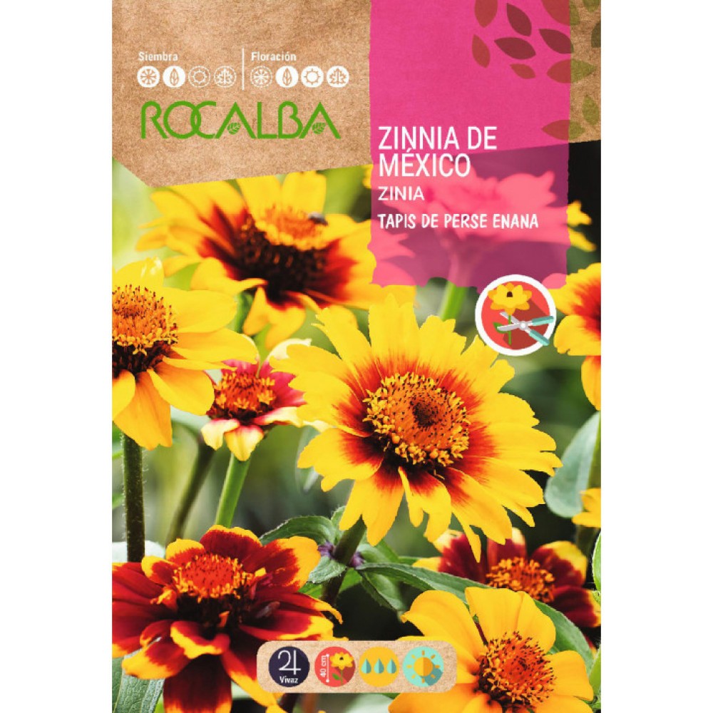 S.ZINIA ROCALBA ANA DO MEXICO