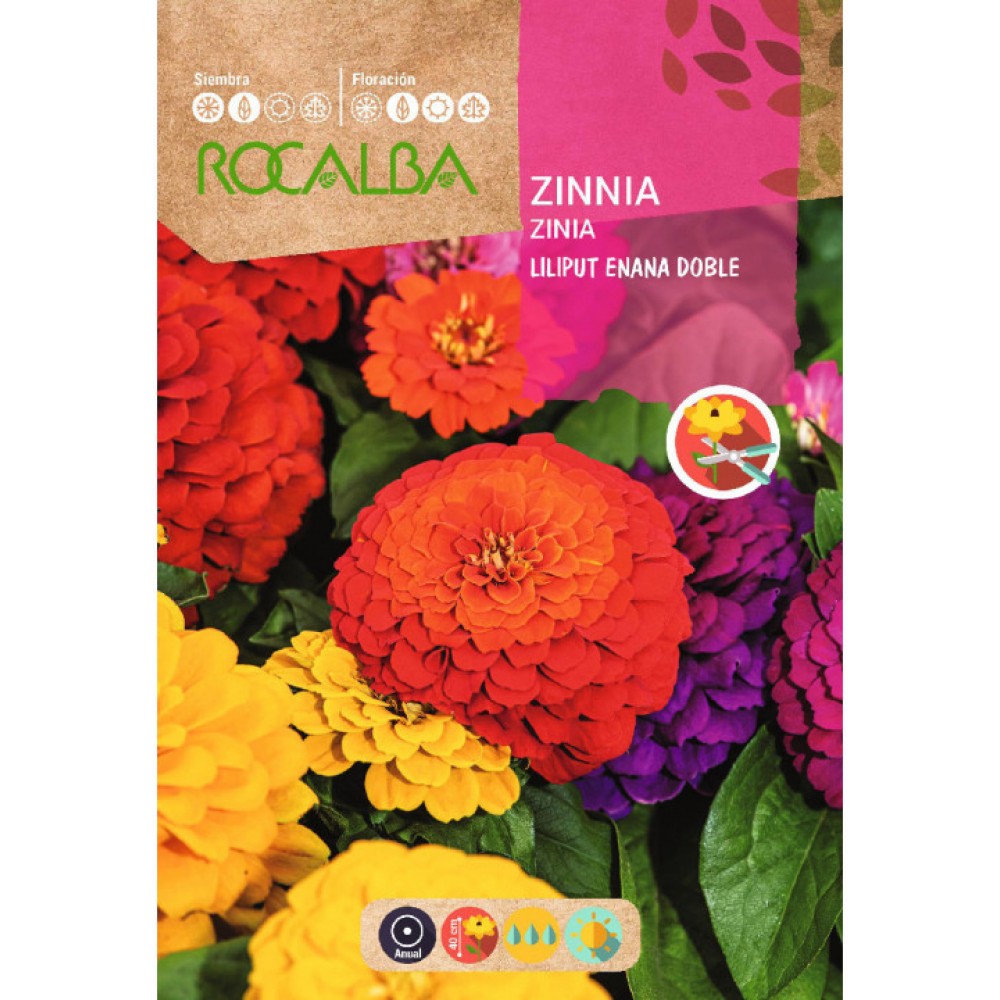S.ZINIA ROCALBA ANA BOBRADA LILIPUT