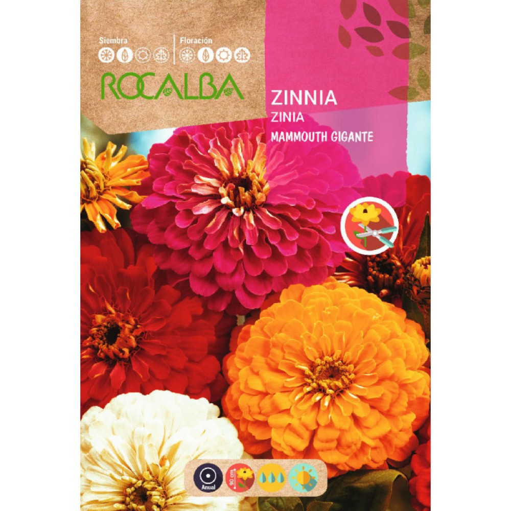 S.ZINIA ROCALBA MAMMOUT GIGANTE VARIADA