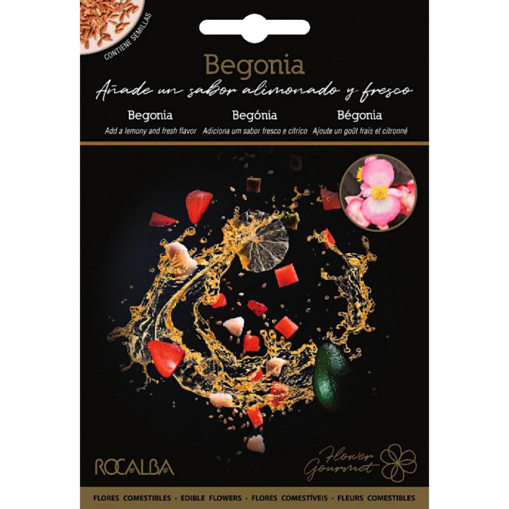 SEMENTE FLORES COMESTÍVEIS BEGÓNIA