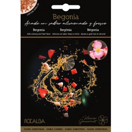 SEMENTE FLORES COMESTÍVEIS BEGÓNIA