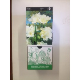 S.BOLBO DC FRESIAS SINGELAS   - CAIXA 150 UNIDADES