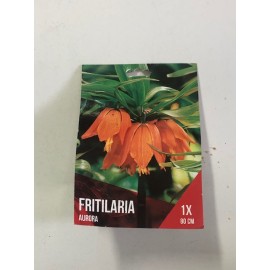 S.BOLBO SAQUETA FRITILARIA