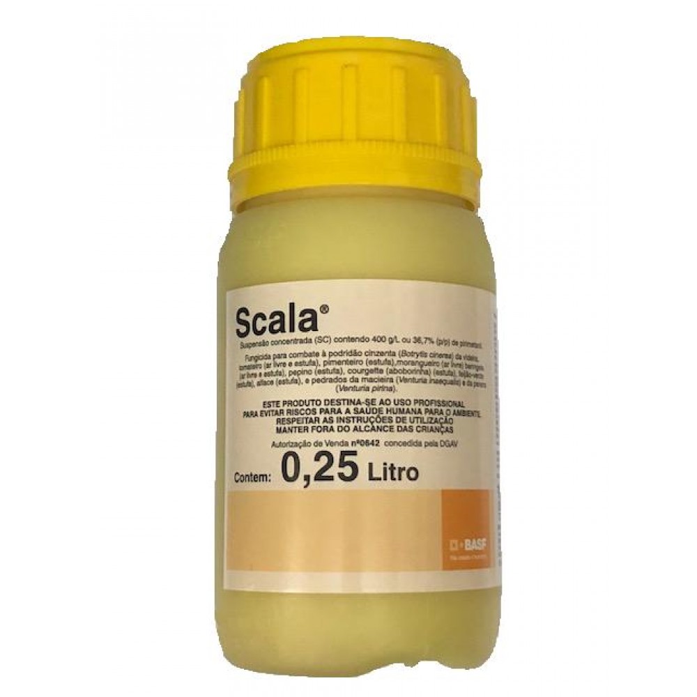 BASF SCALA AV 0642 - 250 ML