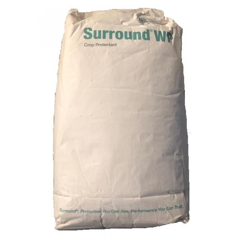BASF SURROUND WP - 12.5 KG