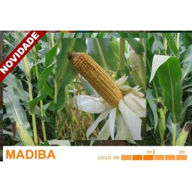 S.MILHO HIBRIDO ROCALBA MADIBA COM KORIT - 50MGR