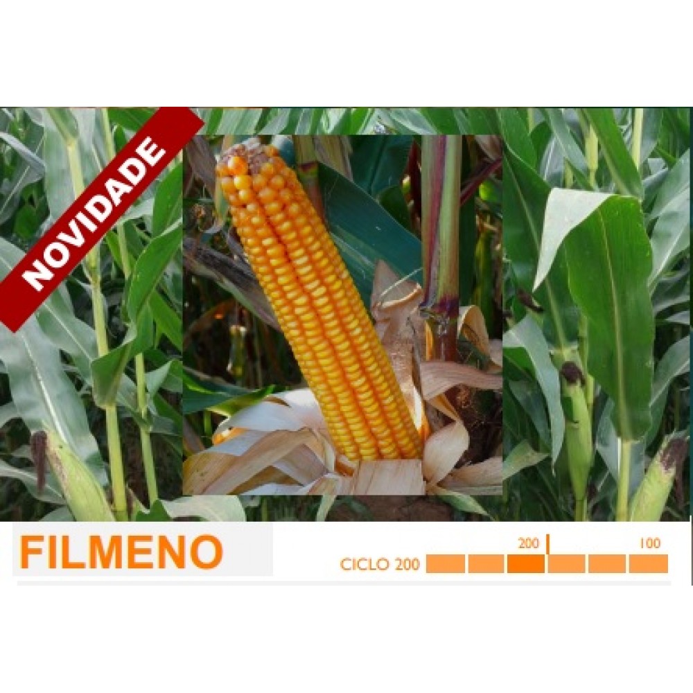 S.MILHO HIBRIDO ROCALBA FILMENO - 2,5KG