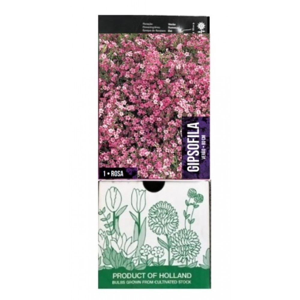 S.BOLBO GR GIPSOFILA ROSA - CAIXA 10 UNIDADES