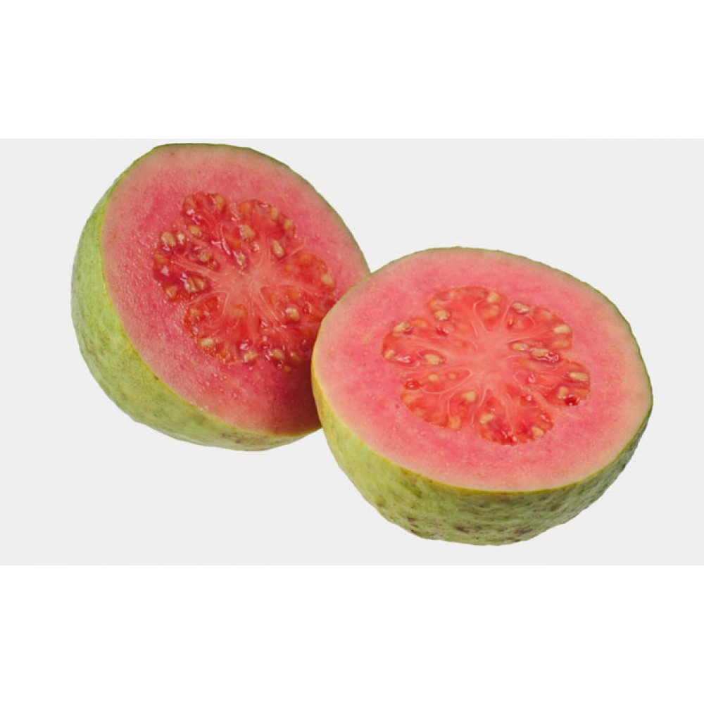 S.ARVORE FRUTO TROPICAL -GOIABA VERMELHA 2 ANOS