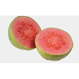 S.ARVORE FRUTO TROPICAL -GOIABA VERMELHA 2 ANOS