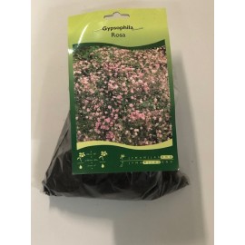 S.BOLBO GR SAQUETA GIPSOPHILIA ROSA