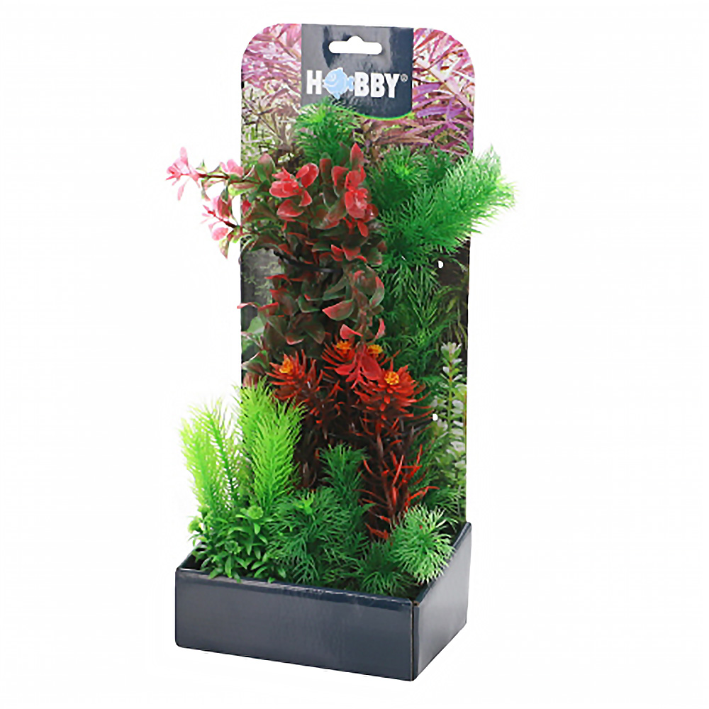 DECORAÇÃO PARA AQUÁRIO -  PLANTAS SET 3 (KIT 6 PLANTAS)