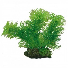 DECORAÇÃO PARA AQUÁRIO -  PLANTAS SET 3 (KIT 6 PLANTAS)