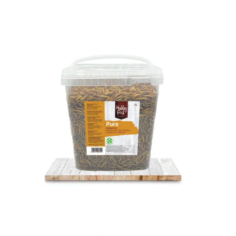 DELI NATURE HOBBYLINE CHIX MEALWORMS ( TENEBRIOS ) - 1 KG