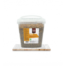 DELI NATURE HOBBYLINE CHIX MEALWORMS ( TENEBRIOS ) - 1 KG