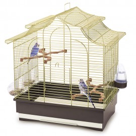 GAIOLA PAGODA EXPORT