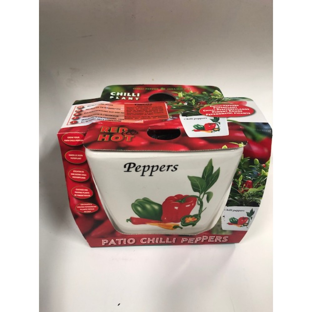 POTE ORNAMENTAL DE PIMENTOS DA GUINE