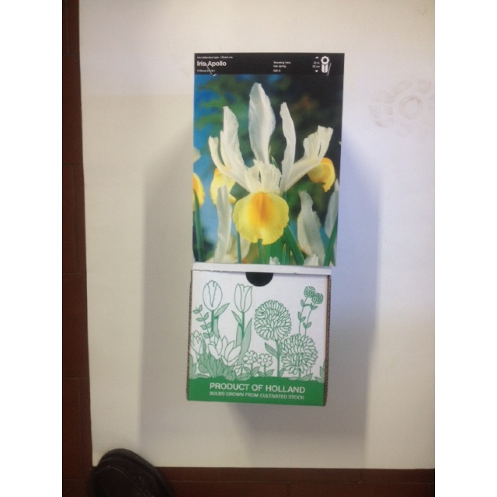 S.BOLBO DC IRIS LIRETES -CAIXA 150 UNIDADES