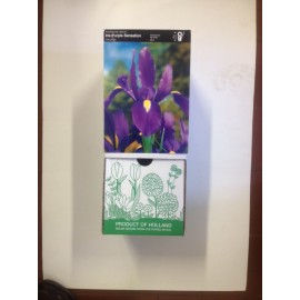 S.BOLBO DC IRIS LIRETES -CAIXA 150 UNIDADES