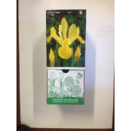 S.BOLBO DC IRIS LIRETES -CAIXA 150 UNIDADES